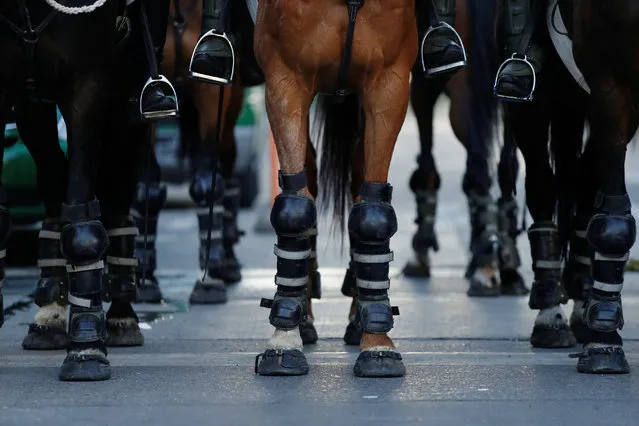 Protective gear are seen on the horses of mounted security forces during a protest against Chile's government, at Providencia, a wealthy neighbourhood, in Santiago, Chile on November 7, 2019. (Photo by Jorge Silva/Reuters)
