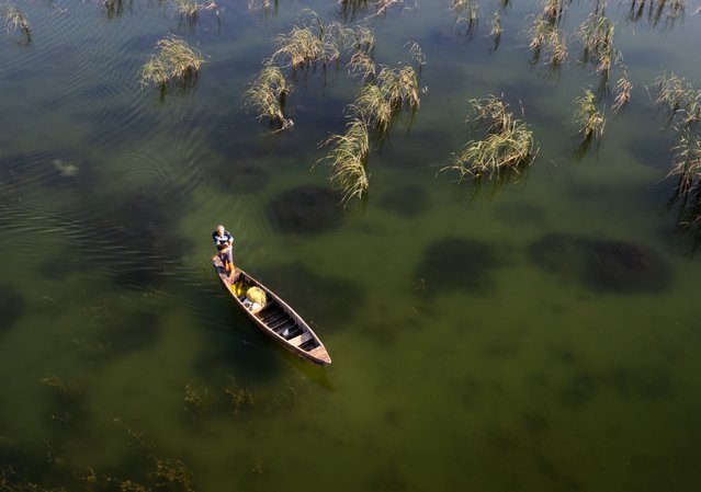 An aerial view of a man going fishing on a wooden boat over Golbasi Lake, located on Hatay's Kirikhan district, Turkiye on July 31, 2024. Known as the source of Lake Amik, which was dried up in the 1960s, the lake has a different appearance with the increasing number of water hyacinths, especially in summer with its rich flora and fauna. (Photo by Ahmet Aslan/Anadolu via Getty Images)