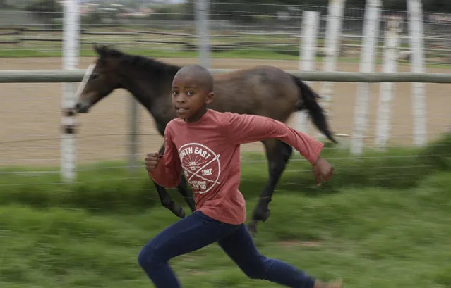 In this Saturday, February 11, 2017 photo, 10 year-old boy Junior Mashile, runs as he prepares to ride a horse during a vaulting practice at the Soweto Equestrian Centre in Johannesburg, South Africa. The respect displayed at Mafokate's equestrian center in Soweto is a far cry from the tensions under South Africa's previous apartheid system of racial discrimination that erupted into violence more than 40 years ago Friday, when dozens of protesting black students were killed by security forces in the 1976 Soweto uprising. (Photo by Themba Hadebe/AP Photo)