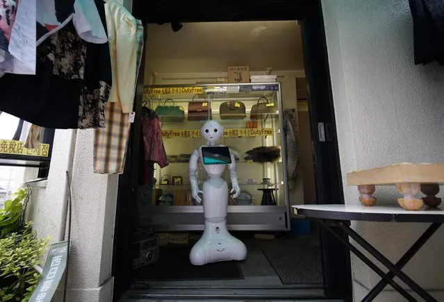 Humanoid robot Pepper stands at the entrance of the pawnshop of Tomomi Ota's father to welcome customers in Tokyo, Japan, 26 June 2016. (Photo by Franck Robichon/EPA)