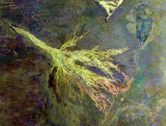 This is the Okavango River Delta in Botswana. The purple mass in the center is Chief's Island. (Photo by The European Space Agency)
