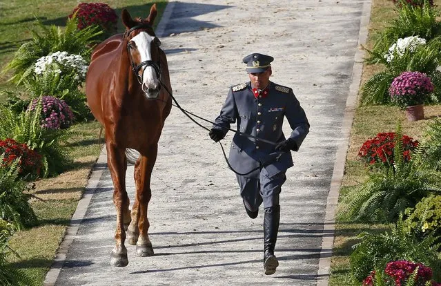 2016 Rio Olympics, Equestrian, Preliminary, Equestrian inspection, Olympic Equestrian Centre, Rio de Janeiro, Brazil on August 5, 2016. Carlos Lobos Munoz (CHI) of Chile runs with his horse Ranco. (Photo by Tony Gentile/Reuters)