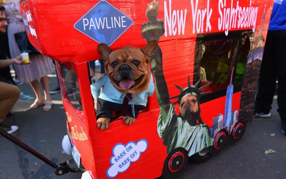 The Day in Photos – October 23, 2017