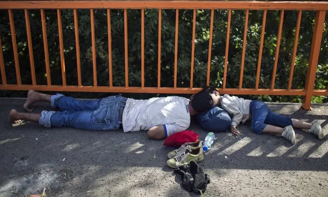 A migrant and a child sleep on the border bridge in Batina, Croatia September 18, 2015. After suddenly landing in the path of the biggest migration in Europe for decades, Croatia said on Friday it could no longer offer refuge to migrants and would wave them onwards, challenging the EU to find a policy to receive them. (Photo by Hannibal Hanschke/Reuters)