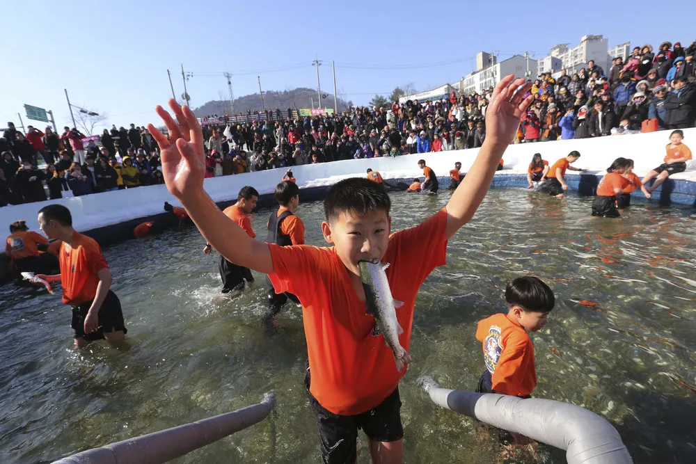 Catching Contest in Hwacheon 2018