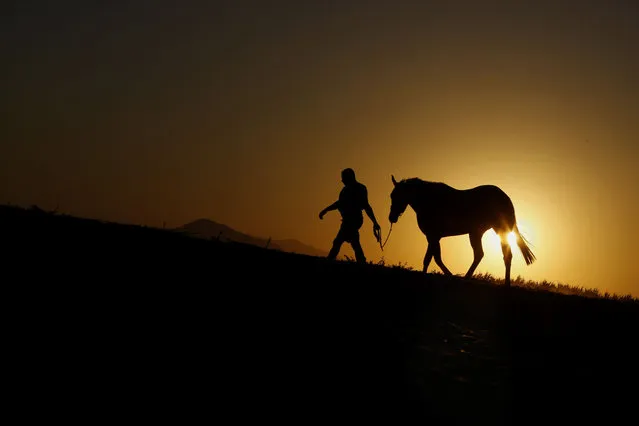 Farmer Iacovos Tofi, 35, with his horse walk during sunset at Meneou village near southern coastal city of Larnaca in the eastern Mediterranean island of Cyprus, Monday, August 17, 2020. (Photo by Petros Karadjias/AP Photo)