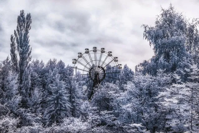 Iconic 26m ferris wheel in Pripyats amusement park. (Photo by Vladimir Mitgutin/Caters News Agency)