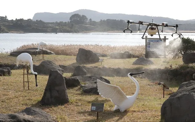 A drone sprays disinfectant at a seasonal home for migratory birds on South Korea's southern Jeju Island, 23 November 2020, following the detection of a highly pathogenic avian influenza strain in the region. (Photo by Yonhap/EPA/EFE)
