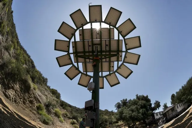 A solar Sun Flower designed by filmmaker James Cameron is pictured at MUSE School in Malibu, California May 19, 2015. (Photo by Jonathan Alcorn/Reuters)