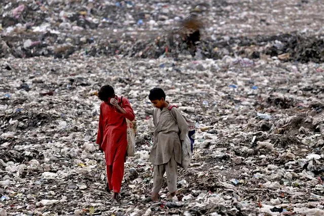 Pakistani boys collect recyclable waste from garbage dumps on a roadside in Peshawar, Pakistan, 22 February 2021. (Photo by Arshad Arbab/EPA/EFE)