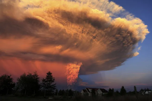 The Calbuco volcano erupts near Puerto Varas, Chile, Wednesday, April 22, 2015. The volcano erupted for the first time in more than 42 years, billowing a huge ash cloud over a sparsely populated, mountainous area in southern Chile. (Phoot by Diego Main/AP Photo)