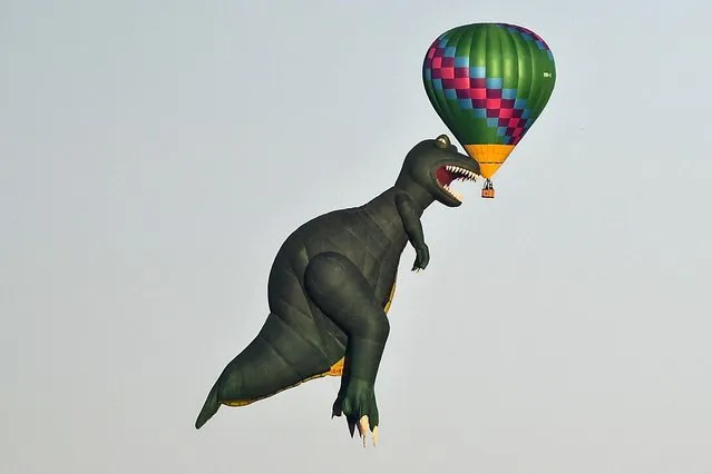 A hot air balloon in the shape of a tyrannosaurus rex is seen next to another hot air balloon at the Canberra International Balloon Festival in Canberra, Australia, 12 March 2020. The Canberra Balloon Festival is considered one of the biggest hot air balloon festivals in the world. (Photo by Lukas Coch/EPA/EFE)