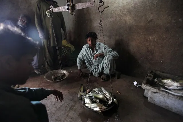 Men weigh a catch of fish for sale in a shop in Soneri village next to Keenjhar Lake, near Thatta, February 22, 2015. (Photo by Akhtar Soomro/Reuters)