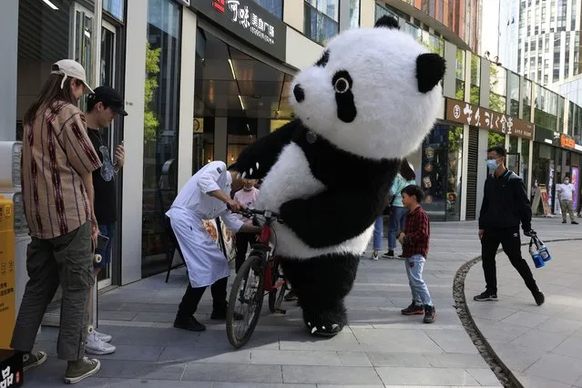 A panda mascot tries to ride a bicycle with the aid of a chef in Beijing on Wednesday, May 5, 2021. (Photo by Ng Han Guan/AP Photo)