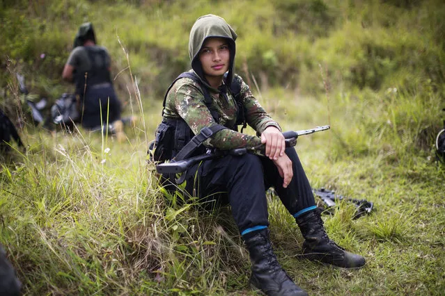 In this January 6, 2016 photo, Juliana, a 20-year-old rebel fighter for the 36th Front of the Revolutionary Armed Forces of Colombia, or FARC, rests from a trek in the northwest Andes of Colombia, in Antioquia state. Like many of her comrades in arms, her path to the FARC was born as much from personal tragedy as political ideology. In her case, she fled an impoverished home at age 16 and followed in the footsteps of an uncle after being raped by her stepfather. (Photo by Rodrigo Abd/AP Photo)