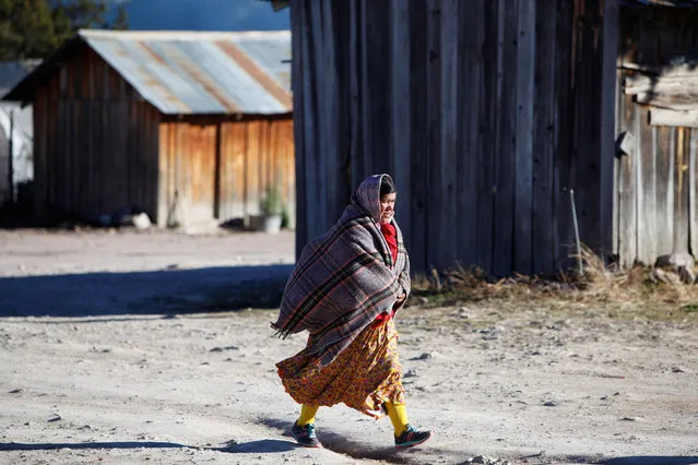 A woman from the Tarahumara ethnic group walks covered in a blanket as they prepare for winter in Caborachi village, in Guachochi, Mexico, December 17, 2016. (Photo by Jose Luis Gonzalez/Reuters)
