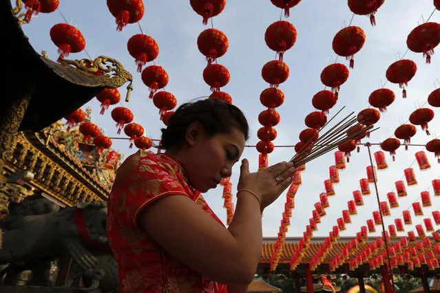 A woman prays in a temple decorated to celebrate Chinese New Year at Samut Prakan province outside Bangkok, Thailand February 7, 2016. (Photo by Jorge Silva/Reuters)