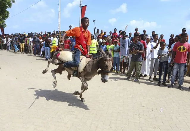 A participant takes part in donkey racing, during the 21st edition of annual Lamu Cultural Festival, in Lamu, Kenya, Saturday December 2, 2023. (Photo by AP Photo/Stringer)