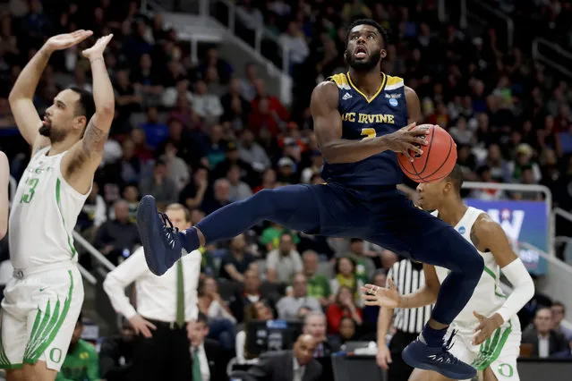 UC Irvine guard Max Hazzard looks to shoot against Oregon during the first half of a second-round game in the NCAA men's college basketball tournament Sunday, March 24, 2019, in San Jose, Calif. (Photo by Ben Margot/AP Photo)
