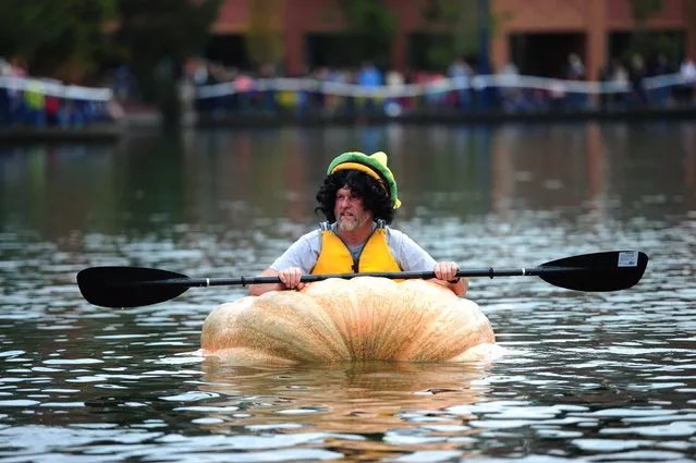 A man tests out his pumpkin before racing it across the Lake of the Commons for the 12th annual West Coast Giant Pumpkin Regatta in Tualatin, Oregon, on October 17, 2015. (Photo by Alex Milan Tracy/AP Photo)