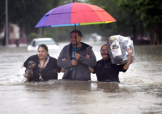 Felix Yanez, center, helps Lucy Olvio, right, and Judy wade through floodwaters as they evacuate from their flooded apartment complex Monday, April 18, 2016, in Houston. (Photo by David J. Phillip/AP Photo)