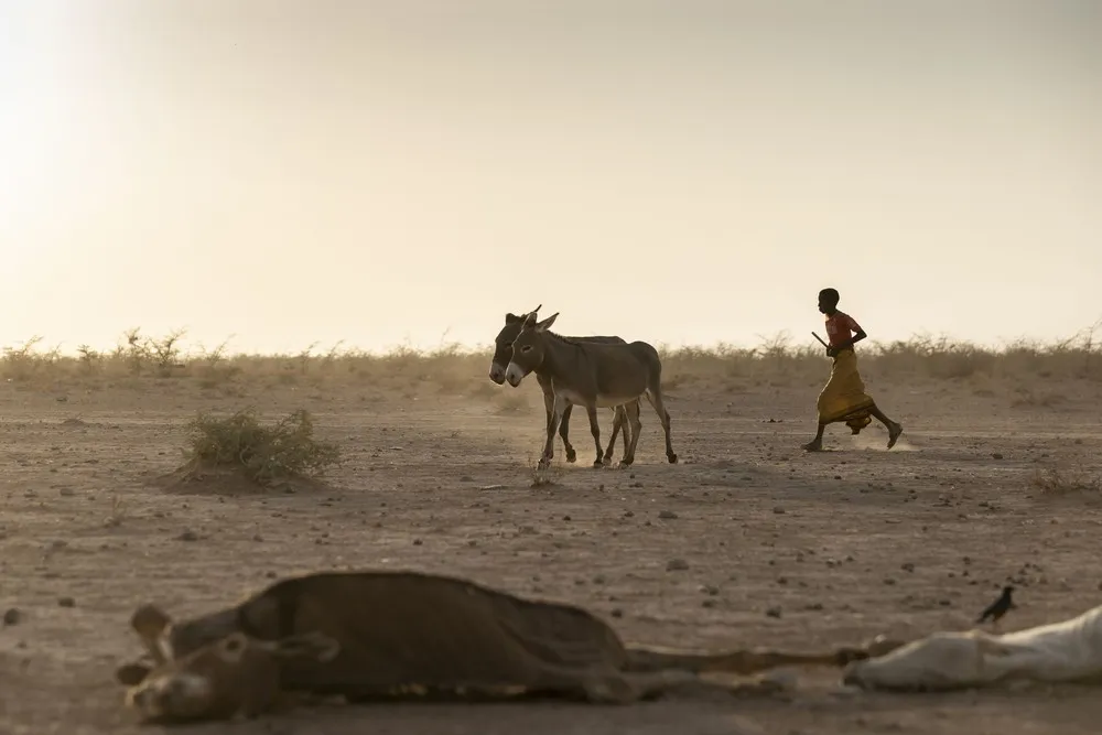 A Look at Life in Africa