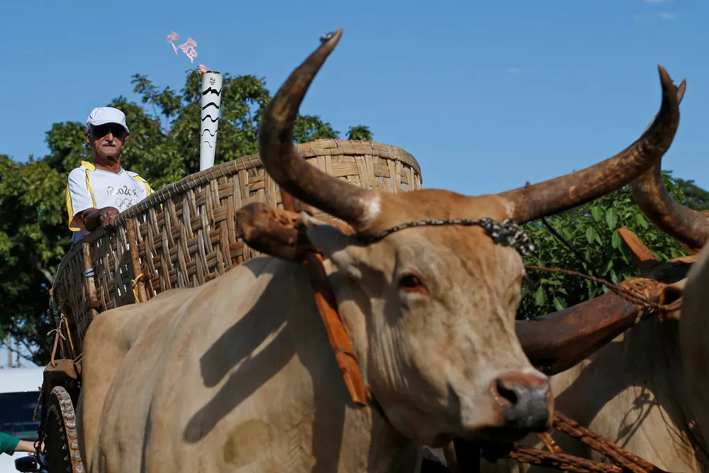 The Day in Photos – May 7, 2016