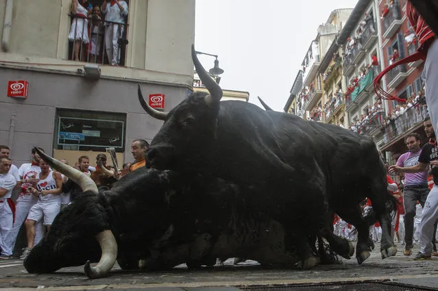 Two “Torrestrella” fighting bulls fall on Estafeta corner during the running of the bulls at the San Fermin festival, in Pamplona, Spain, Monday, July 7, 2014. Revelers from around the world arrive to Pamplona every year to take part in some of the eight days of the running of the bulls glorified by Ernest Hemingway's 1926 novel “The Sun Also Rises”. (Photo by Alvaro Barrientos/AP Photo)