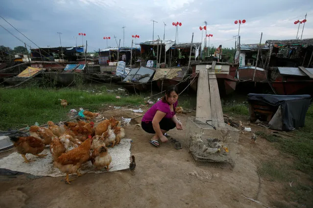 A woman feeds chicken near a wind power system made from plastic buckets at a floating village in Hanoi, Vietnam July 4, 2016. (Photo by Reuters/Kham)