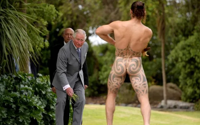 A Maori warrior prepares to challenge Prince Charles during his welcome to Takanhanga Marae in Kaikoura, New Zealand November 23, 2019. (Photo by Tracey Nearmy/Reuters)