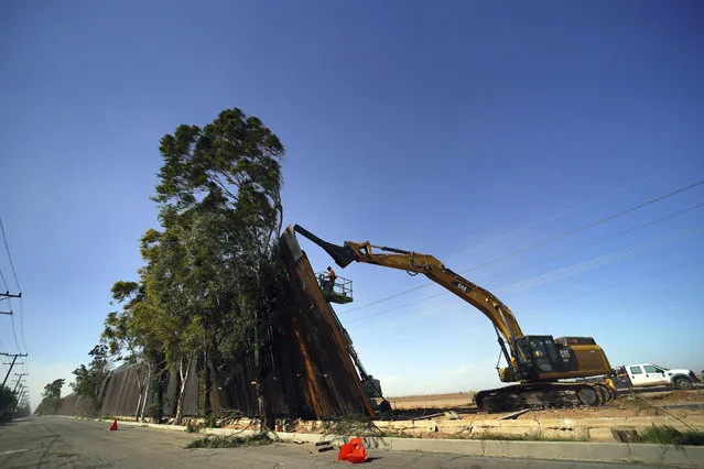 A construction crew works on a fallen section of the US-Mexico border wall as seen from Mexicali, Baja California state, Mexico, on January 29, 2020. Newly installed panels from the US border wall in Calexico, California, fell over in high winds Wednesday, landing on trees on the Mexican side of the border. (Photo by AFP Photo/Stringer)