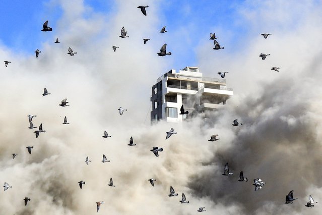 A flock of pigeons flies away as a smoke cloud erupts after a rocket fired by an Israeli war plane hit a building in Beirut's southern suburb of Shayah on October 22, 2024, amid the ongoing war between Israel and Hezbollah. (Photo by AFP Photo/Stringer)