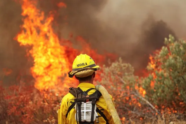 A firefighter watches the flames of a back burn as the Fairview Fire grows near Hemet, California, U.S., September 7, 2022. (Photo by David Swanson/Reuters)