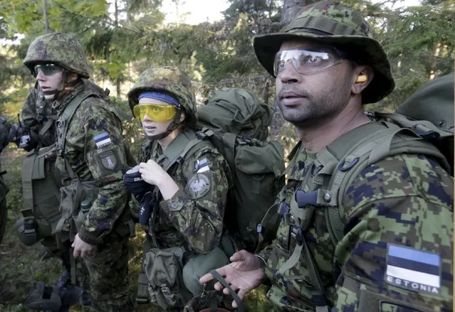Estonia's Defence League volunteer soldiers attend training drill near Rabasaare, Estonia, September 12, 2015. (Photo by Ints Kalnins/Reuters)