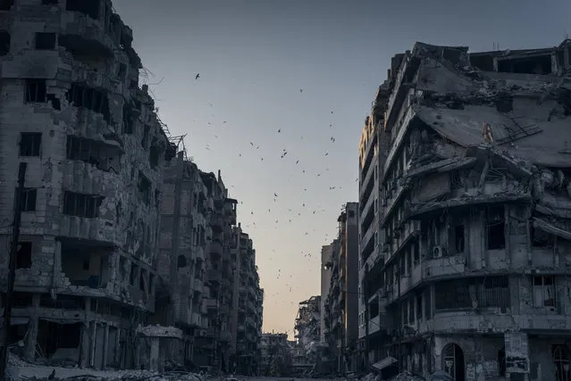 “Destroyed Homs”. Birds fly over the destroyed houses in Khalidiya district in Homs, Syria. In the vast stillness of the destroyed city center of Homs, there are large areas where nothing moves. Then, suddenly, wind blows a ripped awning, or birds fly overhead. Photo location: Homs, Syria. (Photo and caption by Sergey Ponomarev/National Geographic Photo Contest)