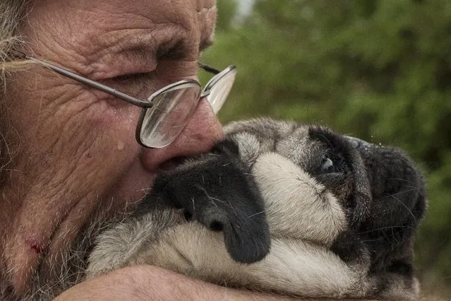 Robert Hooper, exhausted after several days with little sleep, hugs his dog Toby on his property that was burnt by the so-called Valley Fire near Middleton, California September 14, 2015. (Photo by David Ryder/Reuters)