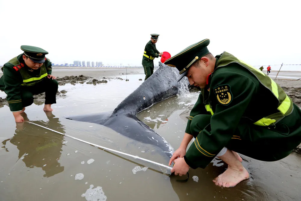 A Look at Life in China