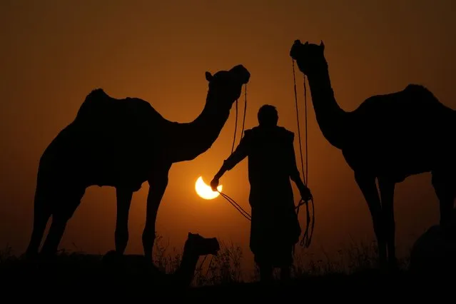 A camel herder is silhouetted against a partial solar eclipse in Pushkar, in the western Indian state of Rajasthan, Tuesday, October 25, 2022. (Photo by Deepak Sharma/AP Photo)