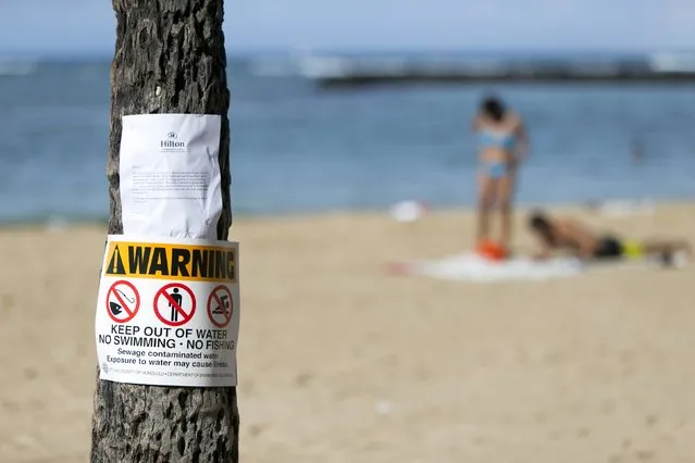 A warning sign sits on a palm tree after 500,000 gallons of raw sewage streamed onto the famed Waikiki Beach in Honolulu, Hawaii, Tuesday, August 25, 2015. (Photo by Marco Garcia/Reuters)