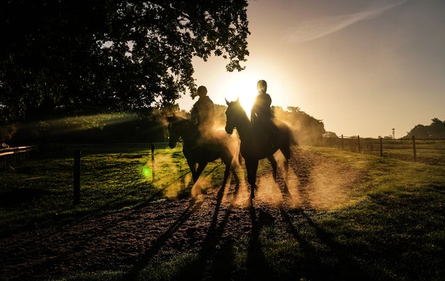 Horses return from the gallops at Sam Drinkwater's Granary Stables in Strensham, Worcestershire, UK on Tuesday, October 11, 2022. (Photo by David Davies/PA Images via Getty Images)