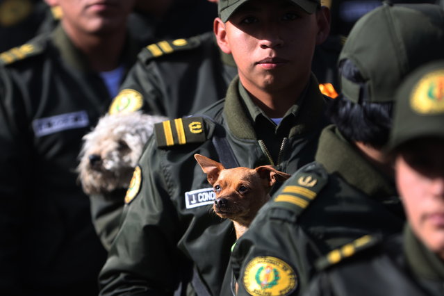 A member of the Bolivian Police holds a dog during a march against animal abuse in La Paz, Bolivia, 09 May 2025. (Photo by Luis Gandarillas/EPA)
