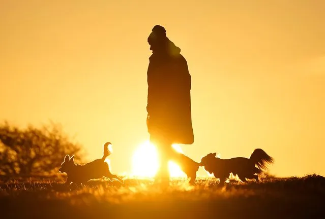 A person walks their dogs as the sun rises over Butser Hill in Hampshire on Saturday, December 10, 2022. Large areas of the country have been warned to expect severe conditions during the weekend, with snow forecast for Scotland and the south-east of England. (Photo by Andrew Matthews/PA Images via Getty Images)