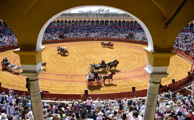 Participants on carriages take part in the XXXVIII “Enganches” (Horse-draw carriages) exhibition at the Real Maestranza bullring in Seville on April 14, 2024 during de “Feria de Sevilla” festival. (Photo by Cristina Quicler/AFP Photo)