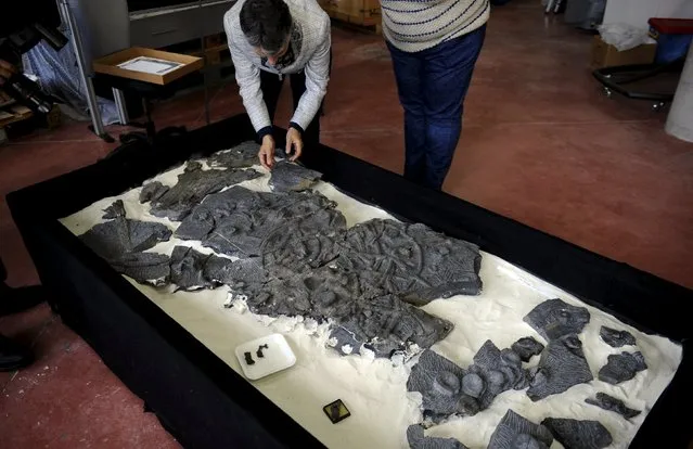 Argentine Paleontologist Marta Fernandez presents the fossil of a Ichthyosaur, which acccording to the Jurassic Museum of Asturias, is the most complete found in the Iberian Peninsula and one of the few in the world, at the headquarters of the museum in Colunga, northern Spain,  November 6, 2015. (Photo by Eloy Alonso/Reuters)