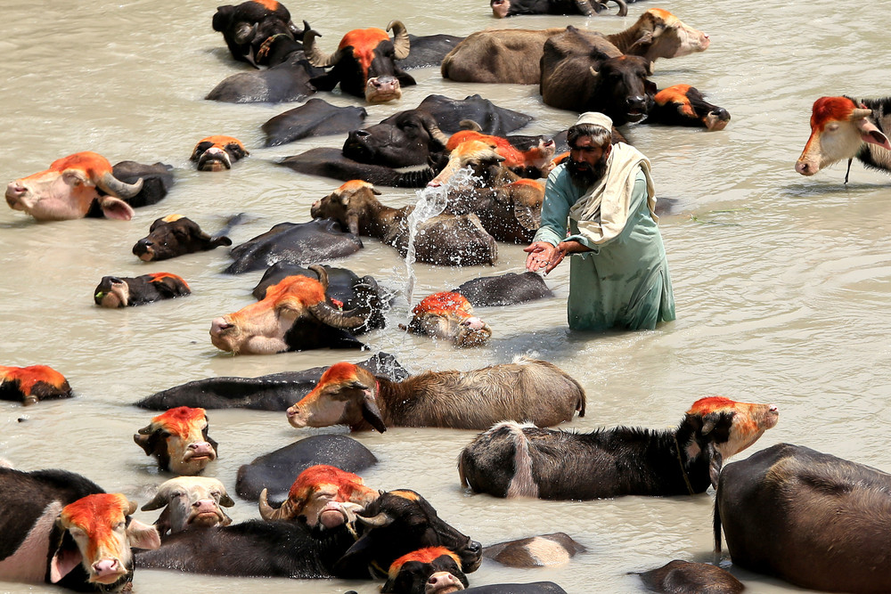 A Look at Life in Pakistan