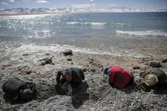 Tibetan people search for special pebbles at the shore of Namtso lake in the Tibet Autonomous Region, China November 18, 2015. (Photo by Damir Sagolj/Reuters)