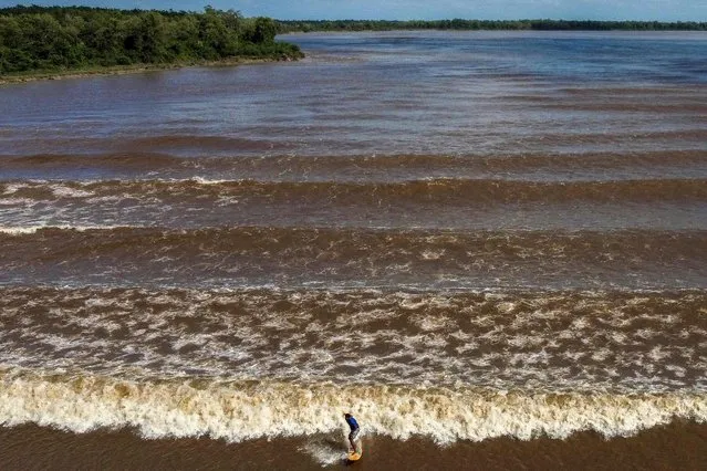 A man surfs on the wave of a tidal bore known as “Pororoca” at Mearim River in Arari, Maranhao state, Brazil, on April 22, 2023. Pororoca, an admired and feared river wave by surfers in Brazil Amazon, is created during the spring tide when the Atlantic Ocean currents push back the Mearim River's water. (Photo by Nelson Almeida/AFP Photo)