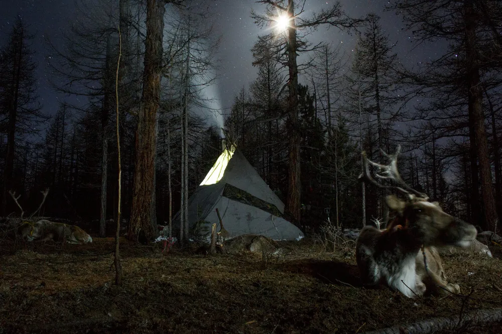 Mongolia's Reindeer Herders Fear Lost Identity