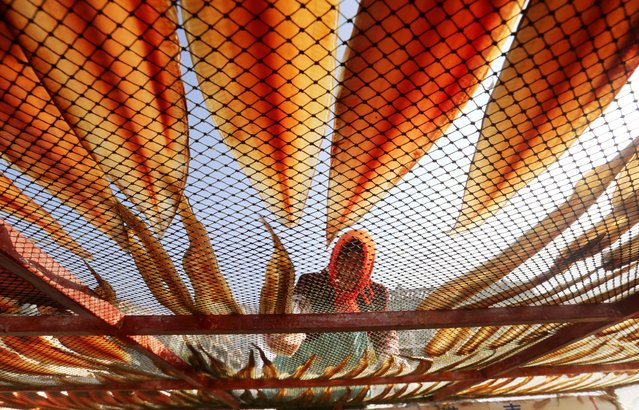 A woman dries and salts fish in Lianyungang, in China's eastern Jiangsu province on November 30, 2025. (Photo by AFP Photo/China Stringer Network)
