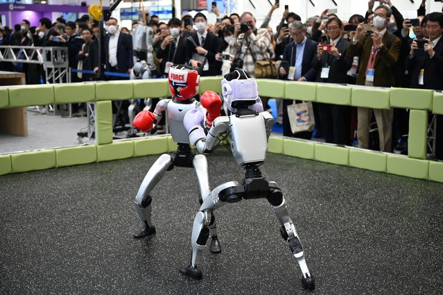 Chinese-made Unitree G1 humanoid robots demonstrate their boxing ability in front of a crowd at the International Robot Exhibition in Tokyo on December 3, 2025. (Photo by Greg Baker/AFP Photo)
